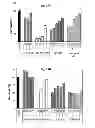 Fig. 18 - Dopamine nanocapsules and uses thereof