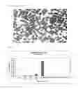 Fig. 08 - METHOD FOR THE PREPARATION OF A PHARMACEUTICAL COMPOSITION COMPRISING 5-AMINOSALICYLIC ACID FOR USE IN TREATMENT OF ULCERATIVE COLITIS AND CROHN'S DISEASE
