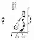 Fig. 12 - Compositions and Methods for Treating Metabolic Disorders