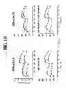 Fig. 14 - Compositions and Methods for Treating Metabolic Disorders