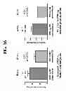 Fig. 20 - Compositions and Methods for Treating Metabolic Disorders