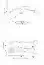 Fig. 16 - Pulmonary Delivery in Treating Disorders of the Central Nervous System