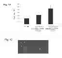 Fig. 02 - Compositions of functional mitochondria and uses thereof