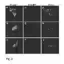 Fig. 03 - Compositions of functional mitochondria and uses thereof