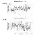 Fig. 10 - Compositions of functional mitochondria and uses thereof