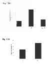 Fig. 13 - Compositions of functional mitochondria and uses thereof