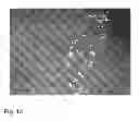 Fig. 14 - Compositions of functional mitochondria and uses thereof