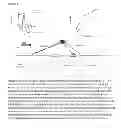 Fig. 04 - METHOD OF DRUG REPOSITIONING