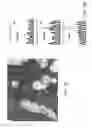 Fig. 02 - Kinase inhibitor compounds