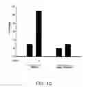 Fig. 03 - Kinase inhibitor compounds