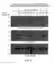 Fig. 05 - Kinase inhibitor compounds