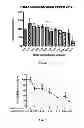 Fig. 07 - Aqueous extracts of deschampsia antarctica