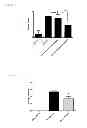 Fig. 03 - Epicatechin for alleviating symptoms of allergy