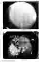 Fig. 10 - SOY/MILK CHEESE-TYPE AND YOGHURT-TYPE PRODUCTS AND METHOD OF MAKING