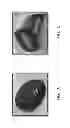 Fig. 02 - Caramel, confection comprising the caramel and method of making the confection