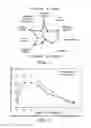 Fig. 02 - PROPYLENE GLYCOL-FREE SPRAY-DRIED COMPOSITIONS AND METHODS OF PRODUCING THE SAME
