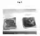 Fig. 04 - Multi-Purpose Ingredient for Bakery and Other Products