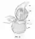Fig. 06 - COMMERCIAL LETTUCE PACKAGING IN THE FIELD