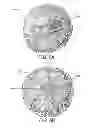 Fig. 08 - COMMERCIAL LETTUCE PACKAGING IN THE FIELD
