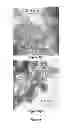 Fig. 06 - Crystalline graphene and method of making crystalline graphene