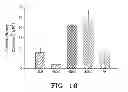 Fig. 10 - ELECTRO-SPUN FIBERS AND APPLICATIONS THEREFORE