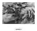 Fig. 14 - Surface-modified, exfoliated nanoplatelets as mesomorphic structures in solutions and polymeric matrices