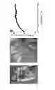Fig. 06 - Transparent conductor