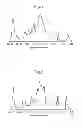 Fig. 07 - PHOTOSENSITIVE ALKALI-SOLUBLE SILICONE RESIN COMPOSITION
