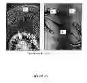 Fig. 03 - Compositions and methods for treating cellulose-based materials with micronized additives