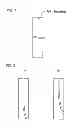 Fig. 02 - Biaxially stretched polyester film and method for producing same