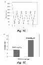 Fig. 09 - Multilayer hydrogels with pH-responsive swelling and surface wettability