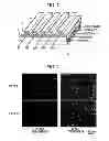 Fig. 02 - STAINLESS STEEL FOR FUEL CELL SEPARATOR