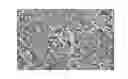 Fig. 01 - Alginate-containing compositions for use in battery applications