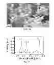 Fig. 06 - Alginate-containing compositions for use in battery applications