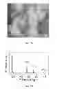 Fig. 09 - Alginate-containing compositions for use in battery applications