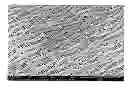 Fig. 01 - Laser-perforated porous solid-state films and applications thereof