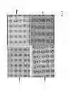 Fig. 07 - Laser-perforated porous solid-state films and applications thereof