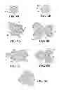 Fig. 05 - METAL HYDRIDE ALLOY WITH IMPROVED LOW-TEMPERATURE PERFORMANCE