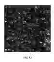Fig. 10 - METAL HYDRIDE ALLOY WITH IMPROVED LOW-TEMPERATURE PERFORMANCE