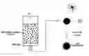 Fig. 01 - Substrate surface structured with thermally stable metal alloy nanoparticles, a method for preparing the same and uses thereof, in particular as a catalyst