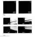 Fig. 03 - Substrate surface structured with thermally stable metal alloy nanoparticles, a method for preparing the same and uses thereof, in particular as a catalyst