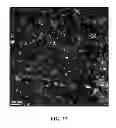 Fig. 10 - Metal hydride alloy with catalyst particles and channels