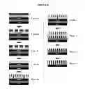 Fig. 03 - Compositions of neutral layer for directed self assembly block copolymers and processes thereof
