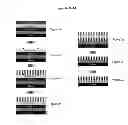 Fig. 04 - Compositions of neutral layer for directed self assembly block copolymers and processes thereof