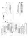 Fig. 10 - INTERACTIVE ONLINE LABORATORY
