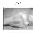 Fig. 08 - Cyclic implant perfusion, cleaning and passivation process and implant produced thereby