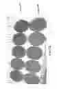 Fig. 08 - Biological specimen collection and transport system and method of use