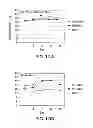 Fig. 17 - Biological specimen collection and transport system and method of use
