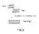 Fig. 04 - METHODS FOR GENETIC ANALYSIS OF DNA TO DETECT SEQUENCE VARIANCES