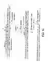 Fig. 11 - METHODS FOR GENETIC ANALYSIS OF DNA TO DETECT SEQUENCE VARIANCES